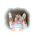 私の大切な友達たち（個別スタンプ：6）