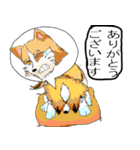 チョコとロンのスタンプ（個別スタンプ：3）