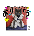 シャルのスタンプ（個別スタンプ：1）