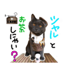 シャルのスタンプ（個別スタンプ：3）