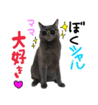 シャルのスタンプ（個別スタンプ：6）