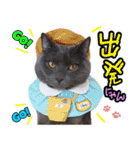 シャルのスタンプ（個別スタンプ：11）