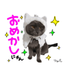 シャルのスタンプ（個別スタンプ：12）