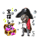 シャルのスタンプ（個別スタンプ：14）