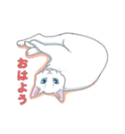 しろねここうめ（個別スタンプ：1）