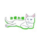 しろねここうめ（個別スタンプ：6）