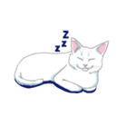 しろねここうめ（個別スタンプ：8）