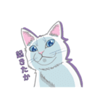 しろねここうめ（個別スタンプ：9）