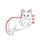 しろねここうめ（個別スタンプ：11）