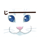 しろねここうめ（個別スタンプ：12）