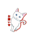 しろねここうめ（個別スタンプ：13）
