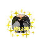 ぐれいびーの日常one（個別スタンプ：1）