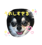ももまろりくまろ（個別スタンプ：1）