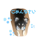 ももまろりくまろ（個別スタンプ：2）