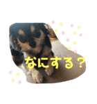 ももまろりくまろ（個別スタンプ：5）
