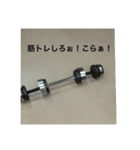 ハンバーグ食べたいスタンプ（個別スタンプ：4）