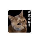 ばゆびんの周りの動物達（個別スタンプ：6）