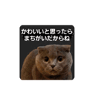 ばゆびんの周りの動物達（個別スタンプ：8）