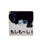 ばゆびんの周りの動物達（個別スタンプ：15）