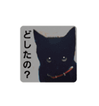 ばゆびんの周りの動物達（個別スタンプ：16）