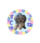 ペキまるめるちゃん1（個別スタンプ：18）