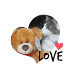 わたこ、ver.English（個別スタンプ：5）