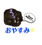 ぼくみかん（個別スタンプ：3）