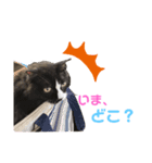 ぼくみかん（個別スタンプ：4）