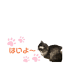 ぼくみかん（個別スタンプ：7）