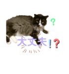 ぼくみかん（個別スタンプ：8）
