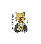 車椅子ねこの挨拶（個別スタンプ：5）