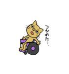 車椅子ねこの挨拶（個別スタンプ：12）