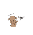 とあるわんこの日常（個別スタンプ：4）