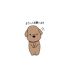 とあるわんこの日常（個別スタンプ：13）