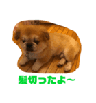 がんも君のスタンプ（個別スタンプ：4）