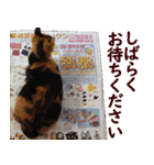 我が家の猫三昧（個別スタンプ：3）