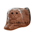 モフモフーたん（個別スタンプ：3）