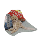 モフモフーたん（個別スタンプ：5）