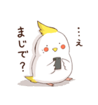 ツン照れインコ（個別スタンプ：5）