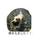 ラブラブラブラドール！！（個別スタンプ：38）