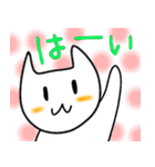 毎日しろにゃんこ（個別スタンプ：1）