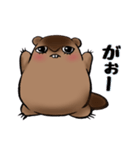 のんびりマーモッちゃん（個別スタンプ：1）