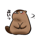 のんびりマーモッちゃん（個別スタンプ：3）