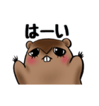 のんびりマーモッちゃん（個別スタンプ：13）