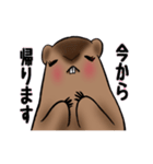 のんびりマーモッちゃん（個別スタンプ：16）