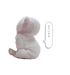ぴのすた（個別スタンプ：12）