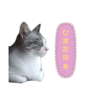 さとう家の猫たち（個別スタンプ：2）