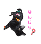 さとう家の猫たち（個別スタンプ：12）