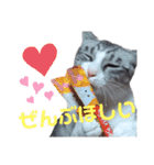 さとう家の猫たち（個別スタンプ：15）