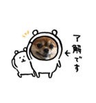 かわいい❤️こまのスタンプ2❤️（個別スタンプ：1）